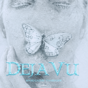 采集导航小鹤导航
