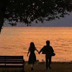 采集导航小鹤导航
